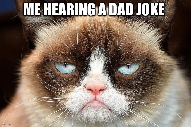 Grumpy Cat Not Amused | ME HEARING A DAD JOKE | image tagged in memes,grumpy cat not amused,grumpy cat | made w/ Imgflip meme maker