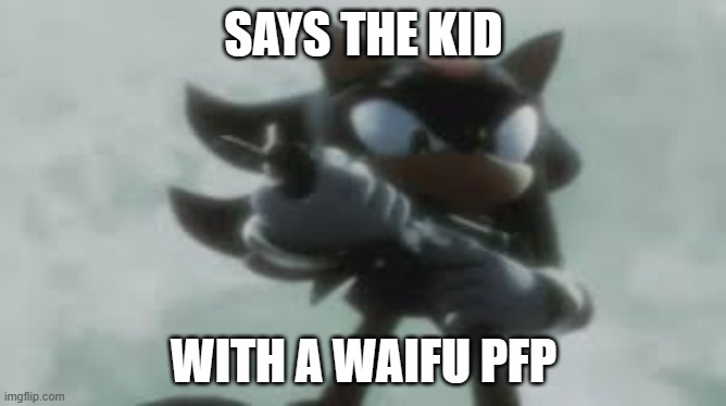 Shadow the hedgehog with a gun | SAYS THE KID; WITH A WAIFU PFP | image tagged in shadow the hedgehog with a gun | made w/ Imgflip meme maker
