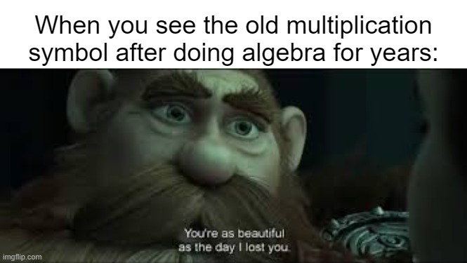 I miss when x just meant multiplication | When you see the old multiplication symbol after doing algebra for years: | image tagged in you're as beautiful as the day i lost you,memes,math | made w/ Imgflip meme maker