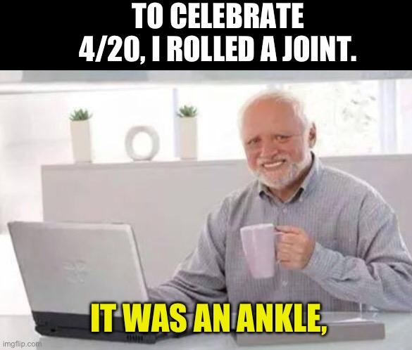 Joint | TO CELEBRATE 4/20, I ROLLED A JOINT. IT WAS AN ANKLE, | image tagged in harold | made w/ Imgflip meme maker