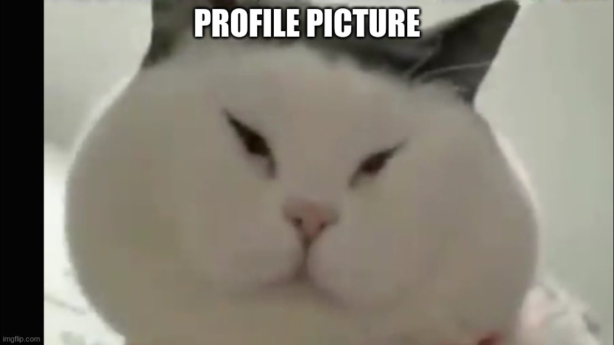 PROFILE PICTURE | made w/ Imgflip meme maker