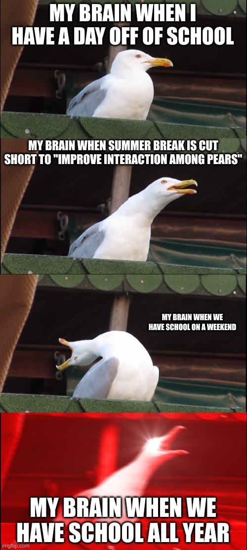 Inhaling Seagull Meme | MY BRAIN WHEN I HAVE A DAY OFF OF SCHOOL; MY BRAIN WHEN SUMMER BREAK IS CUT SHORT TO "IMPROVE INTERACTION AMONG PEARS"; MY BRAIN WHEN WE HAVE SCHOOL ON A WEEKEND; MY BRAIN WHEN WE HAVE SCHOOL ALL YEAR | image tagged in memes,inhaling seagull | made w/ Imgflip meme maker
