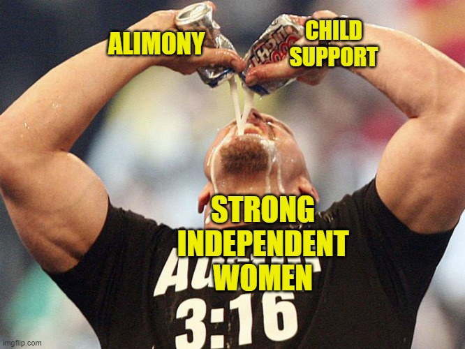 You're not independent if you rely on someone else for income that you don't work for, Karen. | CHILD SUPPORT; ALIMONY; STRONG INDEPENDENT WOMEN | image tagged in 3 16 day,karen,strong independent woman | made w/ Imgflip meme maker