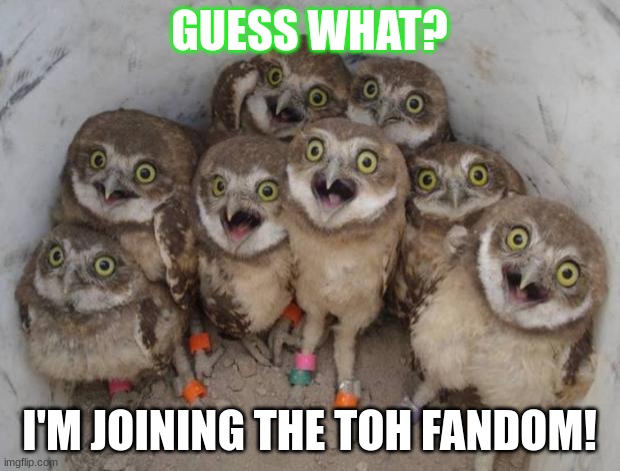 i will make tons of offerings | GUESS WHAT? I'M JOINING THE TOH FANDOM! | image tagged in surprised owls,the owl house | made w/ Imgflip meme maker