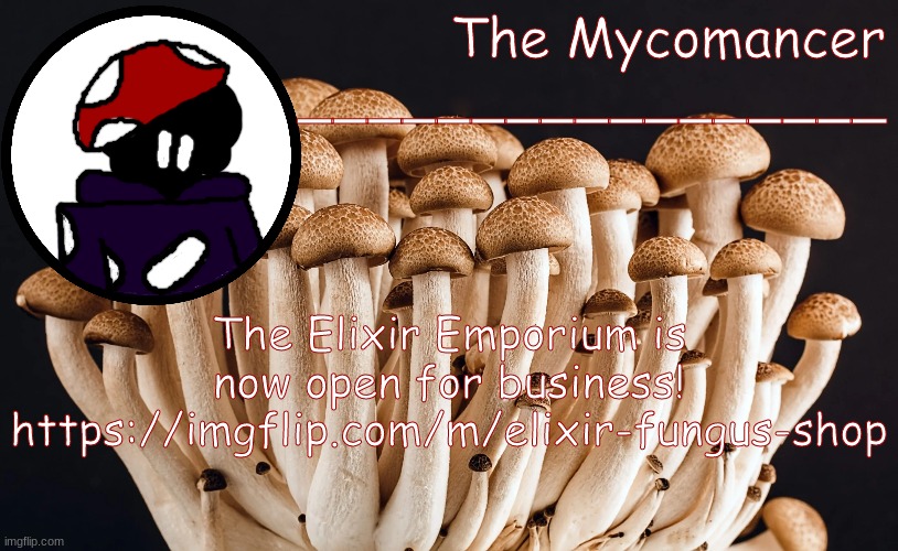hg | The Elixir Emporium is now open for business!
https://imgflip.com/m/elixir-fungus-shop | made w/ Imgflip meme maker