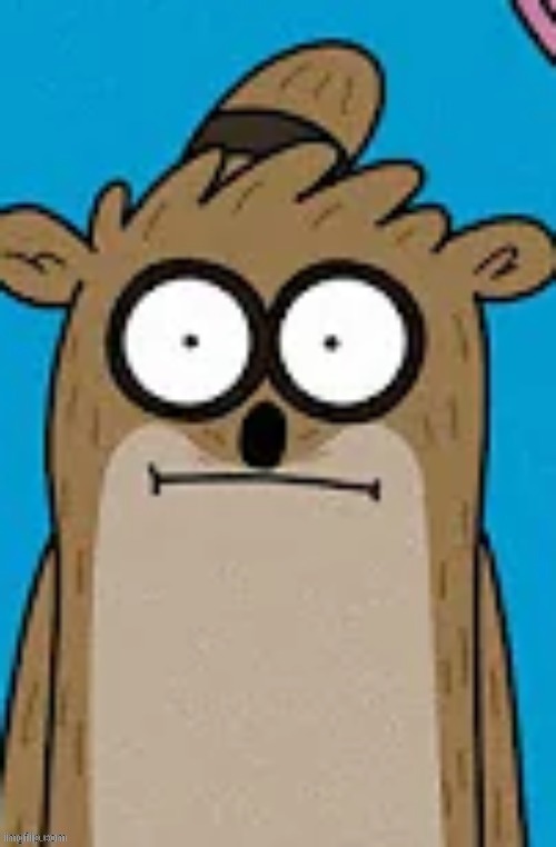 front facing rigby | image tagged in front facing rigby | made w/ Imgflip meme maker