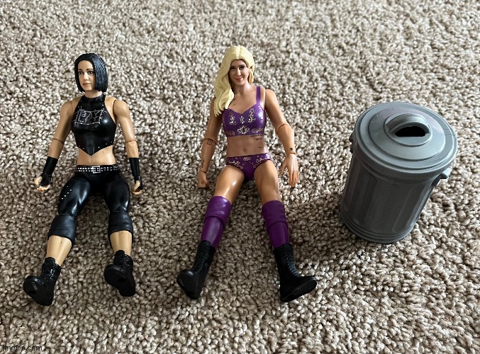 Look at my action figures of Bayley, Charlotte Flair and Nia Jax. | made w/ Imgflip meme maker