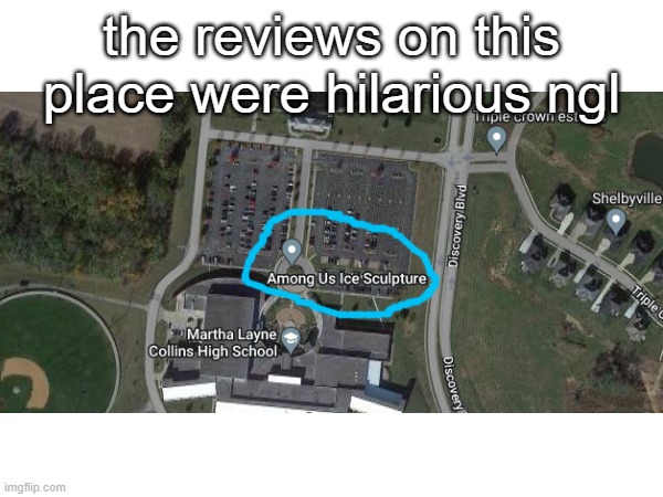 Among Us Ice Sculpture in Kentucky | the reviews on this place were hilarious ngl | image tagged in among us,sus,google maps | made w/ Imgflip meme maker