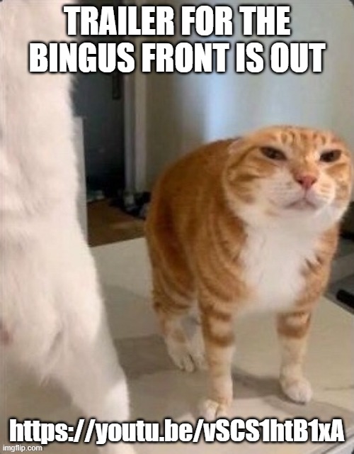 Schizophrenic Cat.pdf | TRAILER FOR THE BINGUS FRONT IS OUT; https://youtu.be/vSCS1htB1xA | image tagged in schizophrenic cat pdf | made w/ Imgflip meme maker