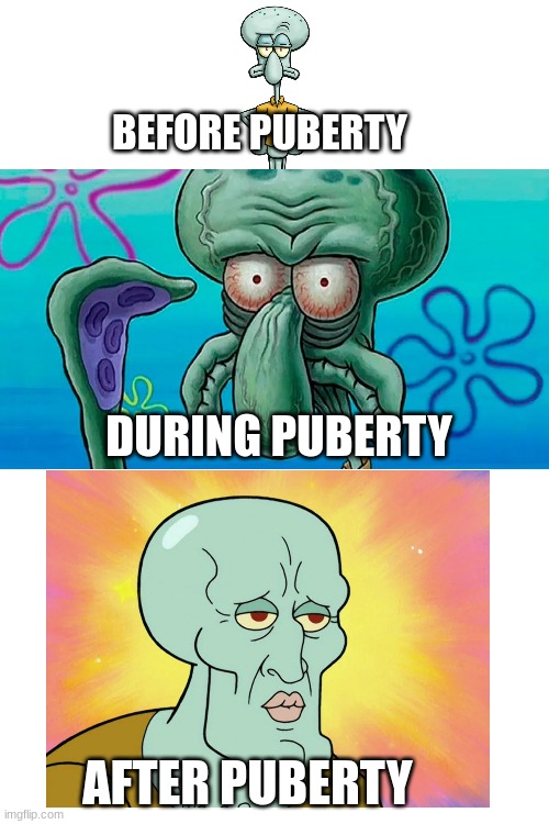 puberty | BEFORE PUBERTY; DURING PUBERTY; AFTER PUBERTY | image tagged in memes | made w/ Imgflip meme maker
