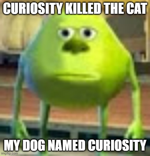 Sully Wazowski | CURIOSITY KILLED THE CAT; MY DOG NAMED CURIOSITY | image tagged in sully wazowski | made w/ Imgflip meme maker
