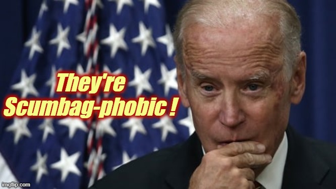 biden considering telling the truth. | They're Scumbag-phobic ! | image tagged in biden considering telling the truth | made w/ Imgflip meme maker