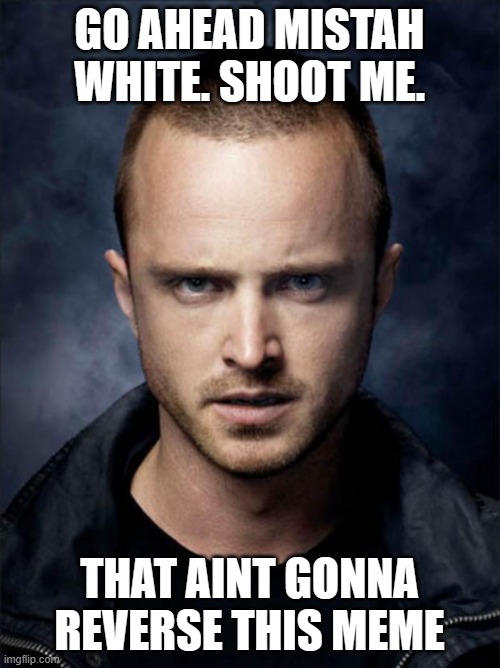 Jesse Pinkman | GO AHEAD MISTAH WHITE. SHOOT ME. THAT AINT GONNA REVERSE THIS MEME | image tagged in jesse pinkman | made w/ Imgflip meme maker