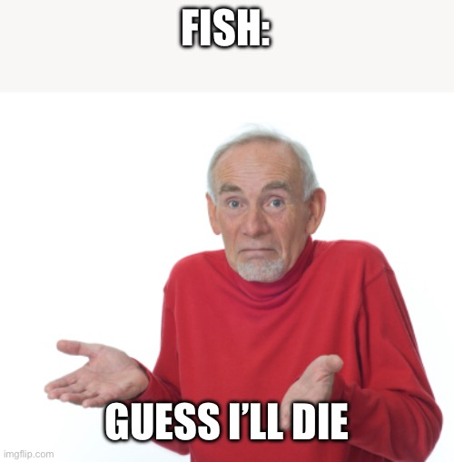 Guess I'll die  | FISH: GUESS I’LL DIE | image tagged in guess i'll die | made w/ Imgflip meme maker