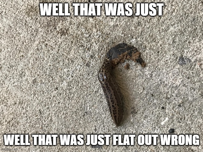 Squash the slug. | WELL THAT WAS JUST; WELL THAT WAS JUST FLAT OUT WRONG | made w/ Imgflip meme maker
