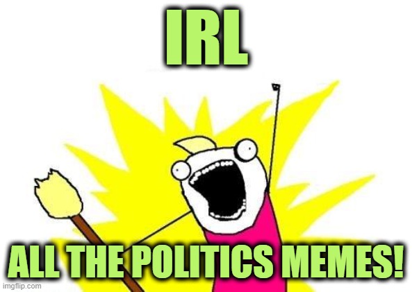 X All The Y Meme | IRL ALL THE POLITICS MEMES! | image tagged in memes,x all the y | made w/ Imgflip meme maker