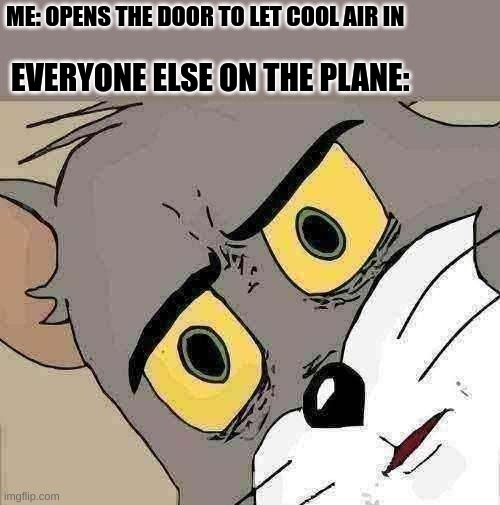 Unsettled Tom | ME: OPENS THE DOOR TO LET COOL AIR IN; EVERYONE ELSE ON THE PLANE: | image tagged in memes,unsettled tom | made w/ Imgflip meme maker