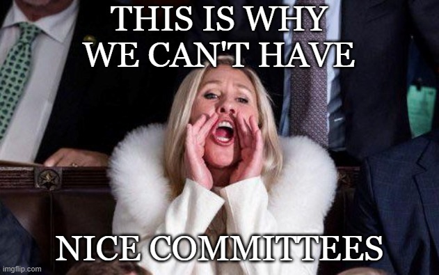 Let MTG on vital security committees, wake up with fleas | THIS IS WHY WE CAN'T HAVE; NICE COMMITTEES | image tagged in marjorie taylor greene,congress,gop,government | made w/ Imgflip meme maker