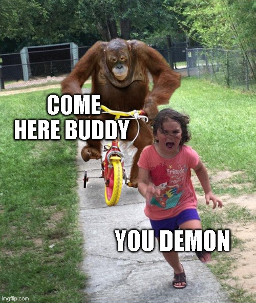 Girl getting chased | COME HERE BUDDY; YOU DEMON | image tagged in orangutan chasing girl on a tricycle | made w/ Imgflip meme maker