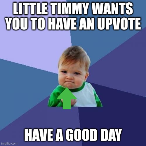 Success Kid Meme | LITTLE TIMMY WANTS YOU TO HAVE AN UPVOTE; HAVE A GOOD DAY | image tagged in memes,success kid | made w/ Imgflip meme maker