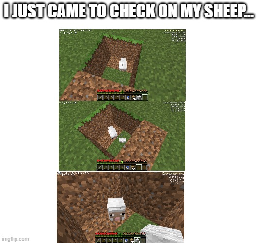 oh no | I JUST CAME TO CHECK ON MY SHEEP... | image tagged in minecraft | made w/ Imgflip meme maker