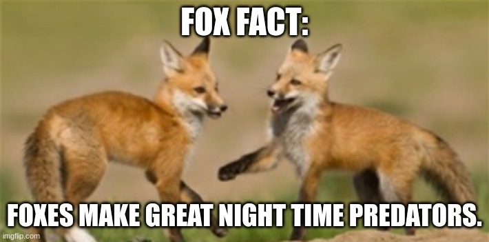 Fox Facts #4 | FOX FACT:; FOXES MAKE GREAT NIGHT TIME PREDATORS. | image tagged in 4 | made w/ Imgflip meme maker