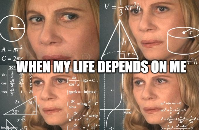 Calculating meme | WHEN MY LIFE DEPENDS ON ME | image tagged in calculating meme | made w/ Imgflip meme maker