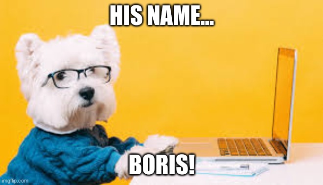 Boris is Smort | HIS NAME... BORIS! | image tagged in dog when | made w/ Imgflip meme maker