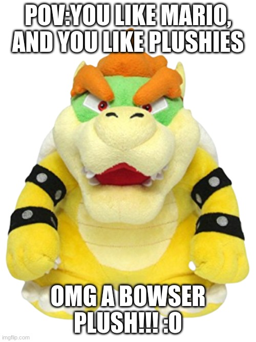 I like Mario and Plushies! | POV:YOU LIKE MARIO, AND YOU LIKE PLUSHIES; OMG A BOWSER PLUSH!!! :O | image tagged in mario,super mario,bowser | made w/ Imgflip meme maker