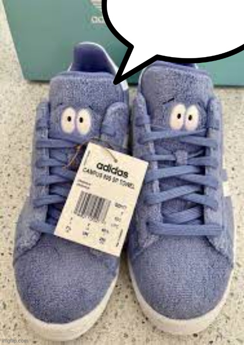 the shoes | image tagged in the shoes | made w/ Imgflip meme maker
