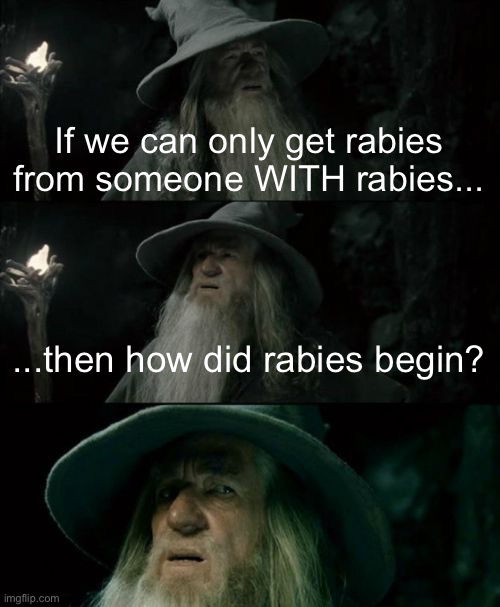 Meme #717 | If we can only get rabies from someone WITH rabies... ...then how did rabies begin? | image tagged in memes,confused gandalf,infection,disease,question,hmmmmmmm | made w/ Imgflip meme maker