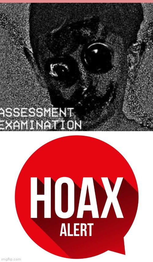 Hoax | image tagged in hoax alert | made w/ Imgflip meme maker