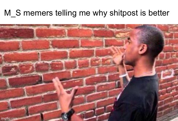 Meme #718 | M_S memers telling me why shitpost is better | image tagged in brick wall,memers,bricks,shitpost,good memes,memes | made w/ Imgflip meme maker