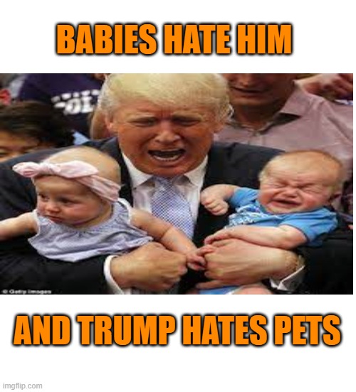 BABIES HATE HIM AND TRUMP HATES PETS | made w/ Imgflip meme maker