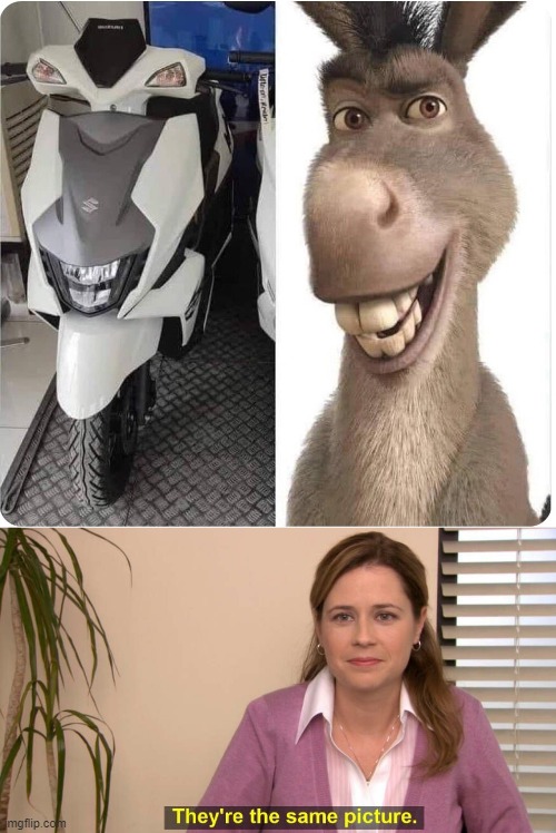 bike looks like donkey from shrek | image tagged in they are the same picture | made w/ Imgflip meme maker