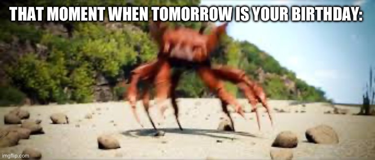 HELL YEAHHHHHH | THAT MOMENT WHEN TOMORROW IS YOUR BIRTHDAY: | image tagged in crab rave | made w/ Imgflip meme maker