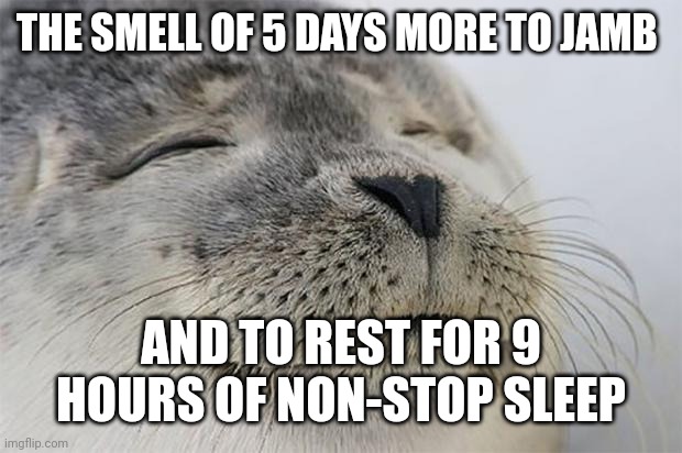 The smell of victory | THE SMELL OF 5 DAYS MORE TO JAMB; AND TO REST FOR 9 HOURS OF NON-STOP SLEEP | image tagged in memes,satisfied seal,funny memes | made w/ Imgflip meme maker