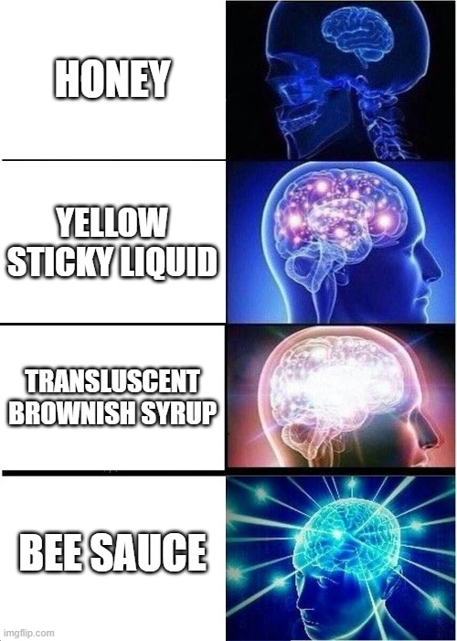 Expanding Brain | HONEY; YELLOW STICKY LIQUID; TRANSLUSCENT BROWNISH SYRUP; BEE SAUCE | image tagged in memes,expanding brain | made w/ Imgflip meme maker