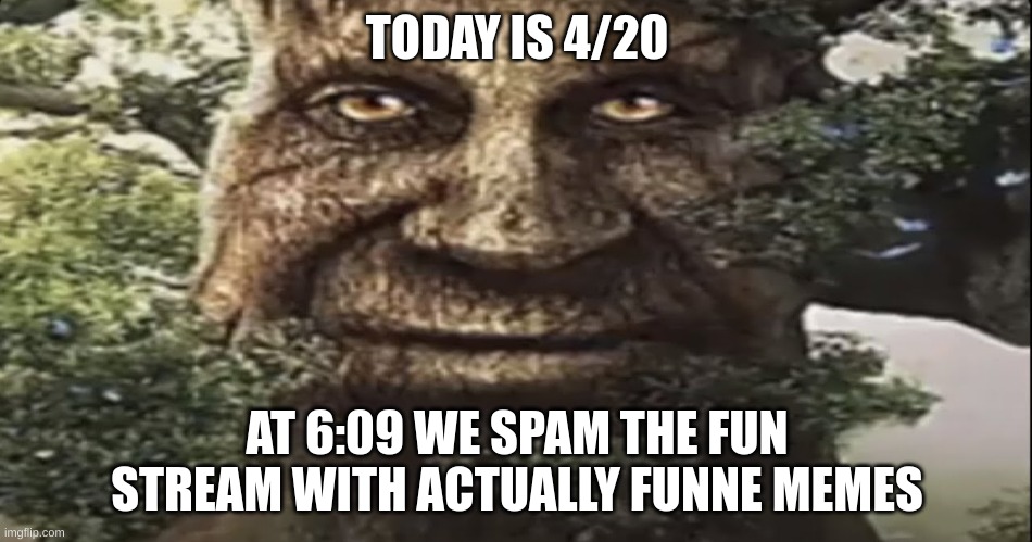 get ready bois | TODAY IS 4/20; AT 6:09 WE SPAM THE FUN STREAM WITH ACTUALLY FUNNE MEMES | image tagged in wise mystical tree | made w/ Imgflip meme maker