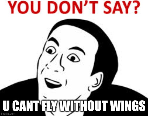 U dont say | U CANT FLY WITHOUT WINGS | image tagged in u dont say | made w/ Imgflip meme maker