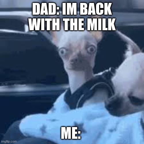 DAD: IM BACK WITH THE MILK; ME: | made w/ Imgflip meme maker