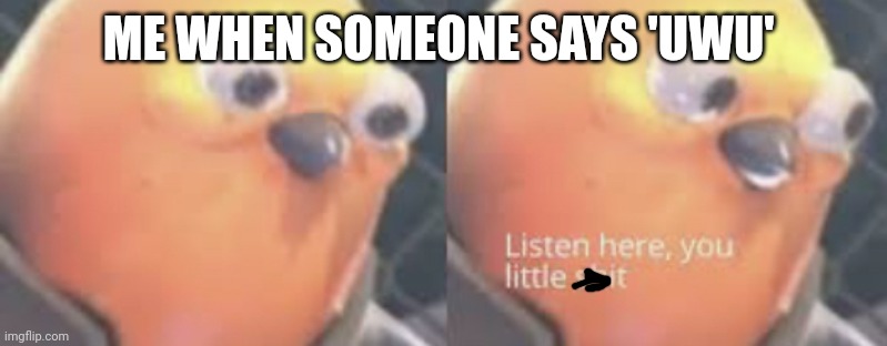 Listen here you little shit bird | ME WHEN SOMEONE SAYS 'UWU' | image tagged in listen here you little shit bird | made w/ Imgflip meme maker