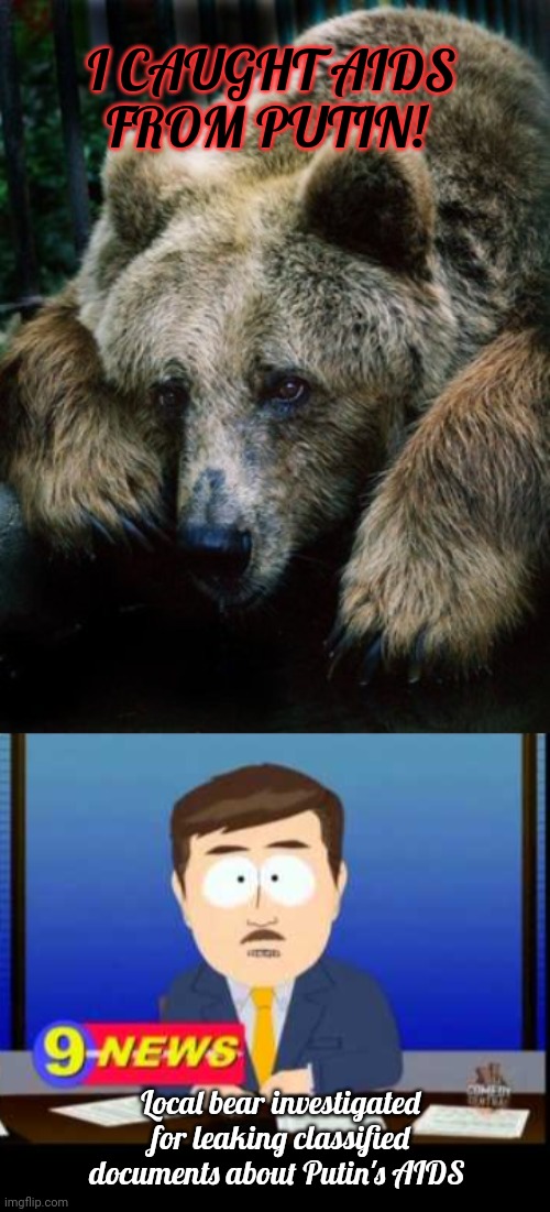 The leaks continue | I CAUGHT AIDS FROM PUTIN! Local bear investigated for leaking classified documents about Putin's AIDS | image tagged in sad bear,south park news reporter,stop it get some help,bears | made w/ Imgflip meme maker
