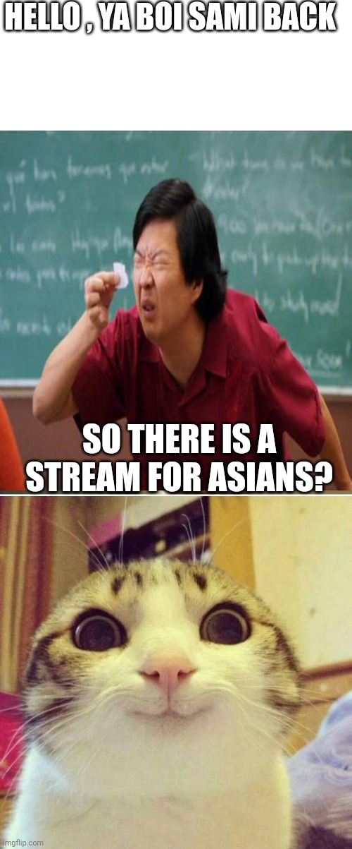 Something I said.... | HELLO , YA BOI SAMI BACK; SO THERE IS A STREAM FOR ASIANS? | image tagged in memes,smiling cat,asians,me | made w/ Imgflip meme maker