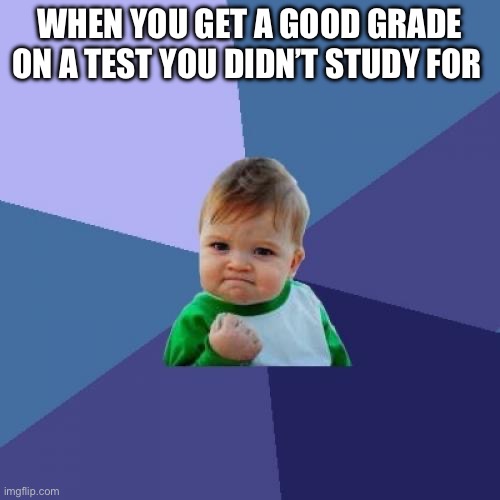 Success Kid | WHEN YOU GET A GOOD GRADE ON A TEST YOU DIDN’T STUDY FOR | image tagged in memes,success kid | made w/ Imgflip meme maker
