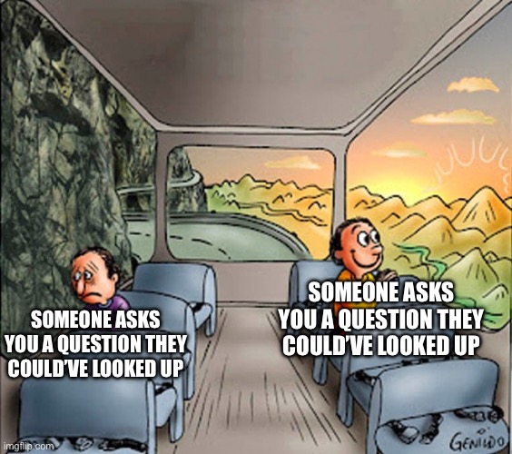 Inspired after getting a text | SOMEONE ASKS YOU A QUESTION THEY COULD’VE LOOKED UP; SOMEONE ASKS YOU A QUESTION THEY COULD’VE LOOKED UP | image tagged in two guys in a bus,question,google,memes | made w/ Imgflip meme maker
