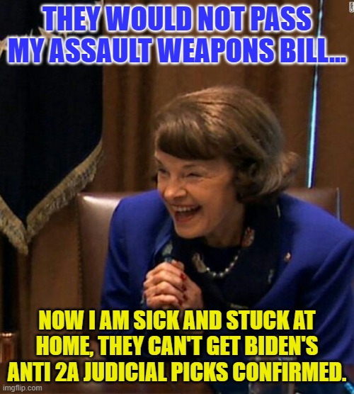 Dianne Feinstein Shlomo hand rubbing | THEY WOULD NOT PASS MY ASSAULT WEAPONS BILL... NOW I AM SICK AND STUCK AT HOME, THEY CAN'T GET BIDEN'S ANTI 2A JUDICIAL PICKS CONFIRMED. | image tagged in dianne feinstein shlomo hand rubbing | made w/ Imgflip meme maker