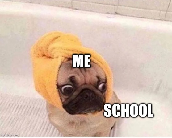 ...... | ME; SCHOOL | image tagged in funny memes | made w/ Imgflip meme maker