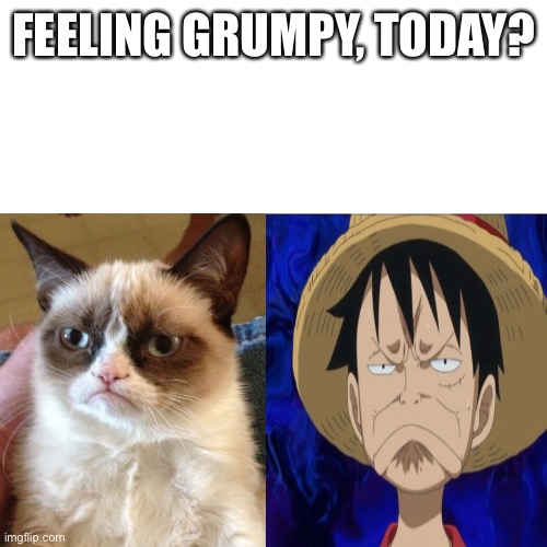 Yea | FEELING GRUMPY, TODAY? | image tagged in grumpy cat,one piece,luffy,anime meme | made w/ Imgflip meme maker