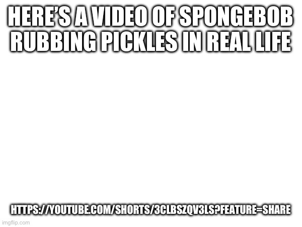 HERE’S A VIDEO OF SPONGEBOB RUBBING PICKLES IN REAL LIFE; HTTPS://YOUTUBE.COM/SHORTS/3CLBSZQV3LS?FEATURE=SHARE | made w/ Imgflip meme maker